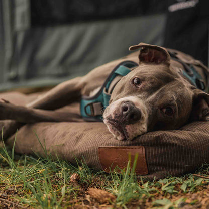 WDO Dog Bed