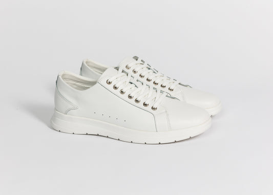 James O'Regan VENOM - Mann