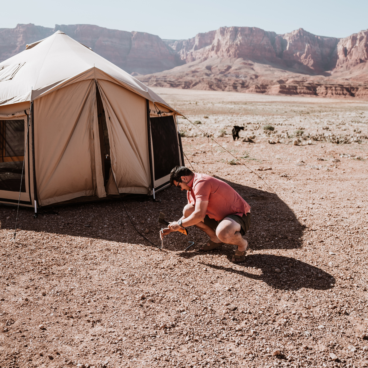 WDO 8' Altimus Bell Tent