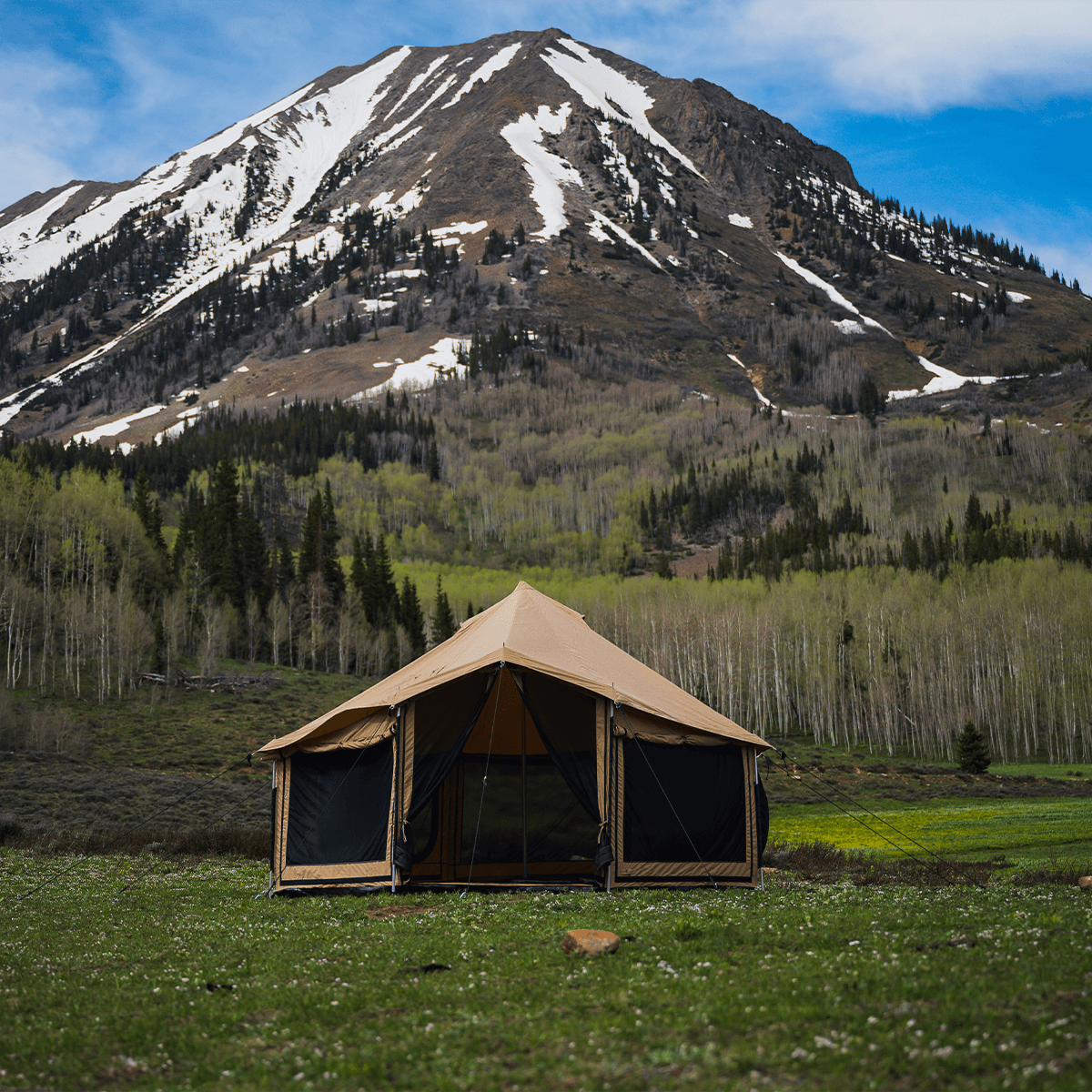 WDO 8' Altimus Bell Tent