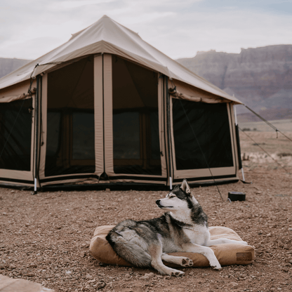 WDO 8' Altimus Bell Tent