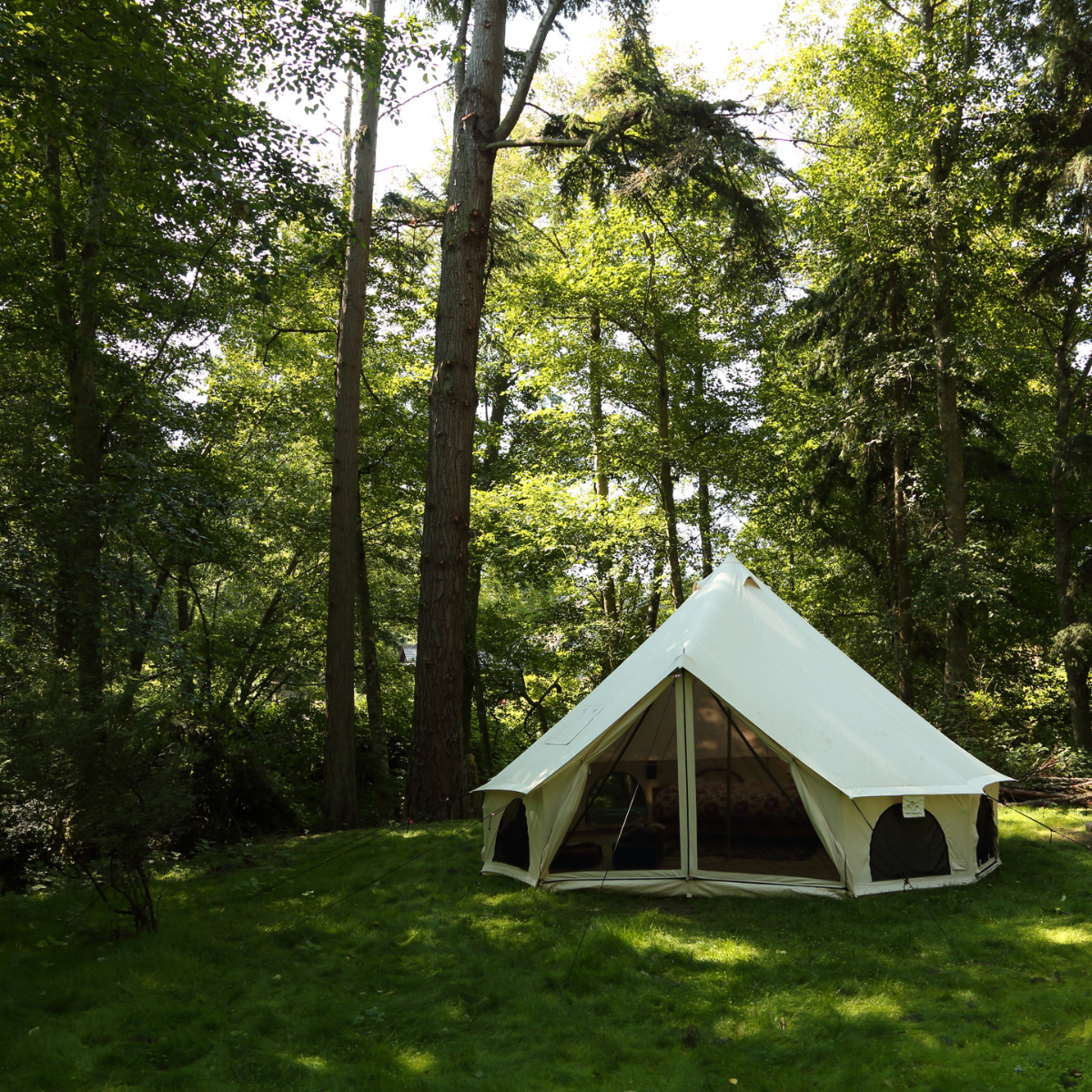 WDO 16.5' Avalon Bell Tent