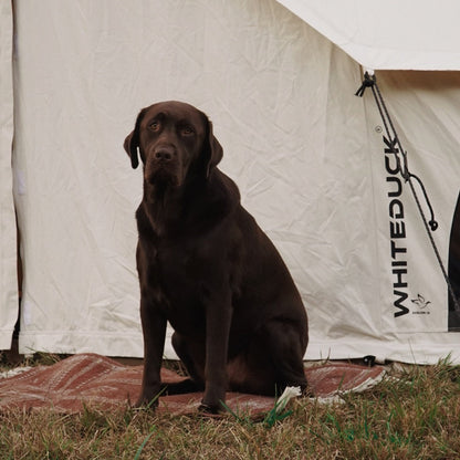 WDO 13' Avalon Bell Tent