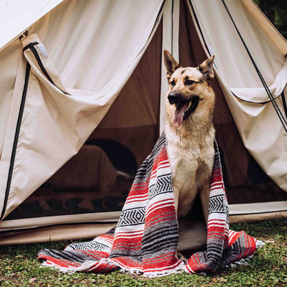 WDO 13' Avalon Bell Tent